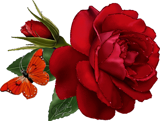 Rose&nbsp;rouge